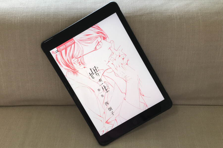 少女マンガ「娚の一生」表紙イメージ